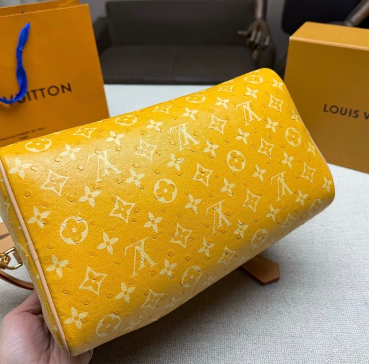 Sac à main:LV