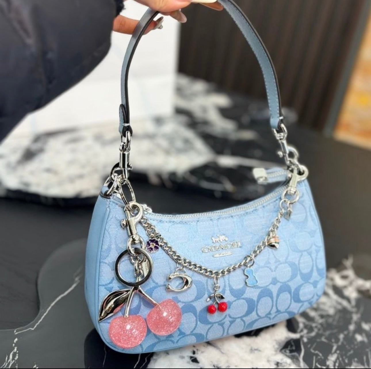 Sac à main:COACH